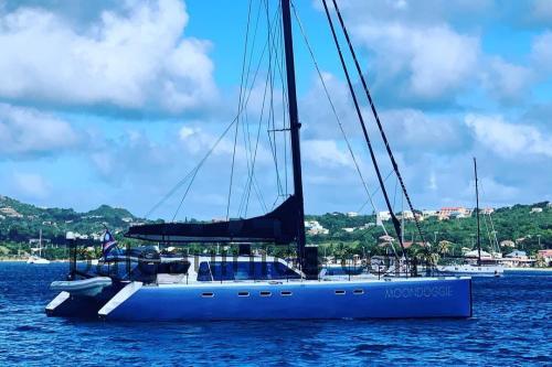 Gunboat 66 avis et fiche technique
